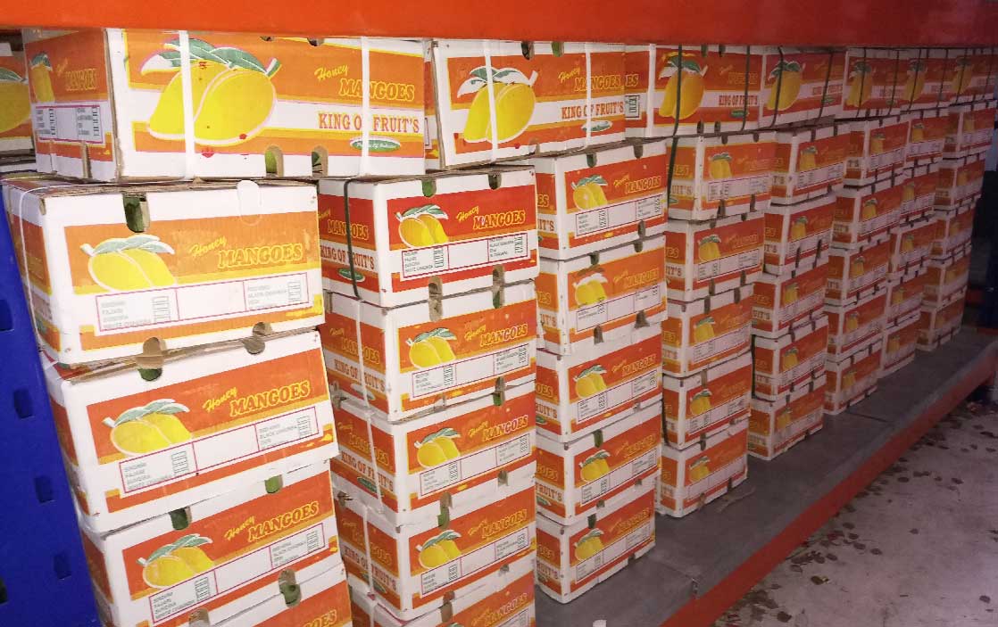 Dry-Storage-2