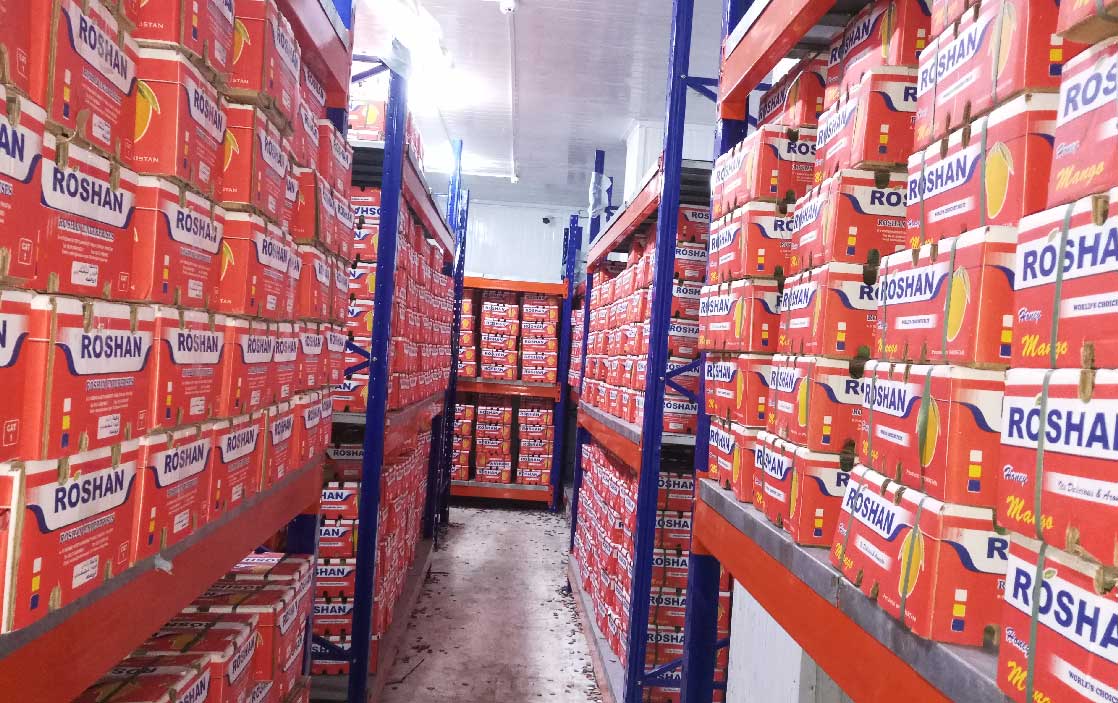 Dry-Storage-3