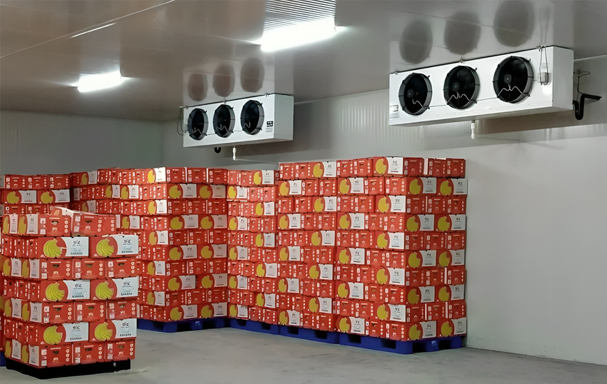 freezer-storage-11